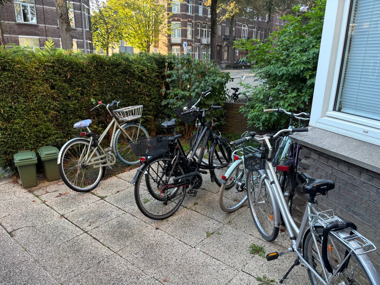 photo 2 of statensingel