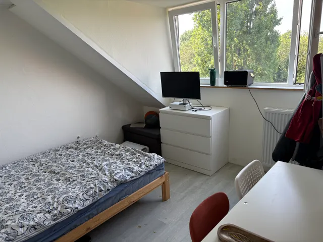 Heerderweg