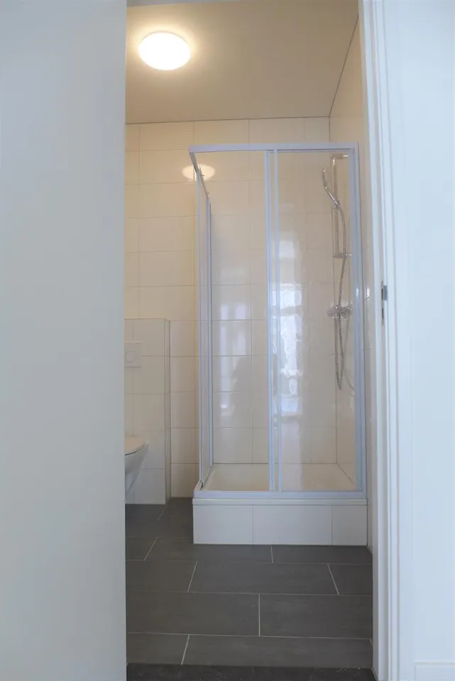 photo 9 of Leliestraat