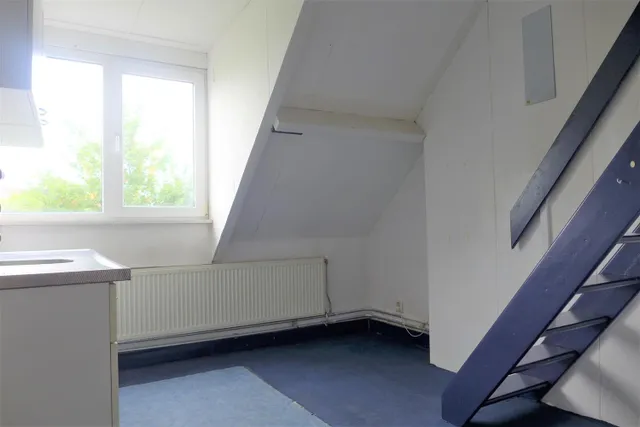 Frankenstraat