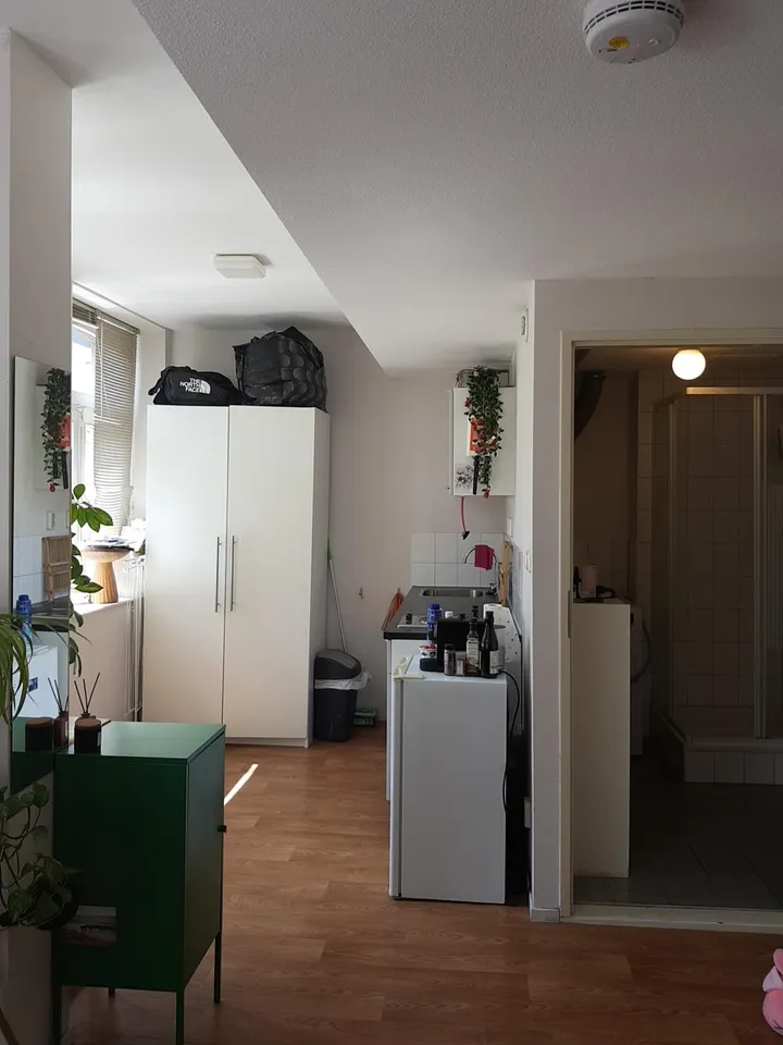 foto 4 van Hoenderstraat